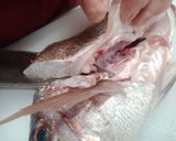 鯛のお造り作り方4写真