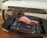 鯛の塩焼き作り方3写真