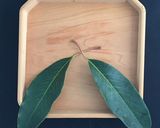 鏡餅 2019 飾り方 作り方作り方8写真