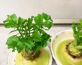 大根の葉を育て食べましょう作り方5写真