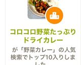 コロコロ野菜たっぷりドライカレー作り方9写真
