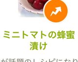ミニトマトの蜂蜜漬け作り方5写真