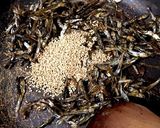 カリカリ　パラパラ　やみつき　たつくり作り方7写真