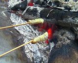 昆虫食の始め方(コクワ幼虫編)作り方3写真