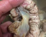 鳥モツ煮を4キロ近く作るとどうなるの？作り方12写真