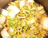 テキトー料理　白菜とツナ煮物作り方5写真