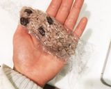 入れたいサイズにぴったり☆簡単俵むすび作り方5写真