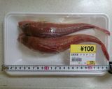かながしら　唐揚げ（or 素揚げ）作り方1写真