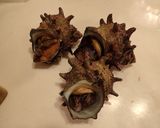 サザエの刺身作り方1写真