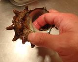 サザエの刺身作り方4写真