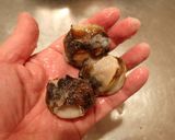 サザエの刺身作り方6写真