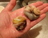 サザエの刺身作り方5写真