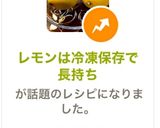 レモンは冷凍保存で長持ち作り方8写真