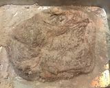 包丁を使わない鶏腿肉の竜田揚げ焼き作り方3写真