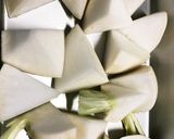 柚子風味☆蕪と鶏ひき肉団子の餡かけ煮作り方1写真