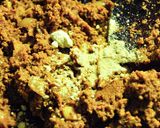 実は簡単なスパイスから作るインドカレー作り方12写真