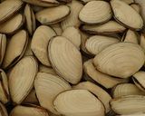 煮姫貝(シロガイ、サラガイ)の握り作り方1写真