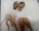 たこ梅作り方4写真