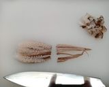 たこ梅作り方8写真
