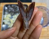 もち米海老団子/中華春節定番料理作り方4写真
