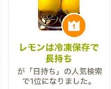 レモンは冷凍保存で長持ち作り方13写真