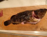 タケノコメバルの刺身作り方2写真