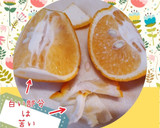 夏みかんスクエアケーキ(簡単)作り方5写真