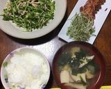 豆苗とツナのサラダ作り方1写真