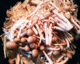 市販ルウで簡単！蓮根ときのこの和風カレー作り方5写真