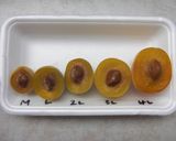 梅講師直伝⑩ 失敗しない♥南高梅干し漬け作り方21写真