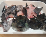 クロ(メジナ)超簡単　魚の出汁の取り方作り方1写真