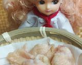 リカちゃん♡わが家は焼肉屋さんぼんじり作り方1写真