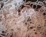 家庭料理の定番♪おいしい肉豆腐作り方2写真