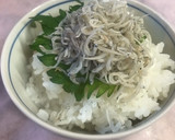 何杯も食べたい！ちりめん下ろしのご飯作り方4写真