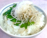 何杯も食べたい！ちりめん下ろしのご飯作り方5写真
