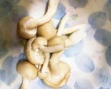 全てレンジ肉なし豆腐春雨佃煮風炒め煮作り方8写真