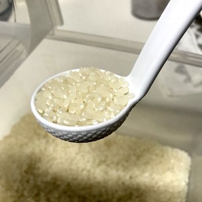 離乳食初期 レンジ専用容器10倍粥 by モンステラちゃま 【クックパッド