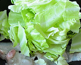 キャベツと豚肉とチーズの蒸し焼き♪作り方1写真