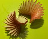 リンゴ飾り切り　リンゴの扇　らせん階段作り方6写真