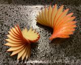 リンゴ飾り切り　リンゴの扇　らせん階段作り方7写真