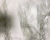 全てレンジ肉なしモス風青椒肉絲風春雨炒煮作り方12写真