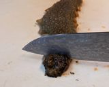 愛知の魚100　高級品のコノワタの作り方作り方1写真