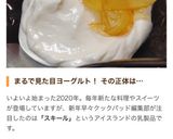 ヘルシー♪ スキール(skyr)を再現！作り方13写真