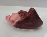 マグロ心臓のニラ炒め作り方1写真
