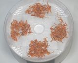 きょうの料理☆切り干し人参と鶏肉の蒸し煮作り方2写真