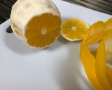 レモンサワーの素作り方1写真