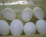 ゆで卵の塩水保存作り方3写真