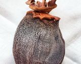 干し柿の作り方(あたご柿）とっても甘い作り方12写真