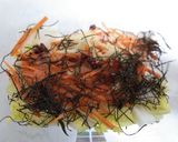 白菜の浅漬け♪♪作り方1写真