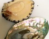【基本】アワビの捌き方(刺身)作り方5写真